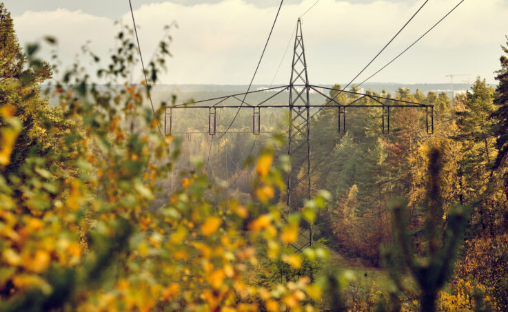 High-voltage powerlines and high-voltage pylons transporting electric power in a lane through a beautiful autumnal forest in the evening light.