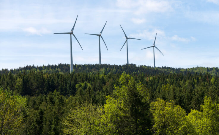 wind turbines amidst trees