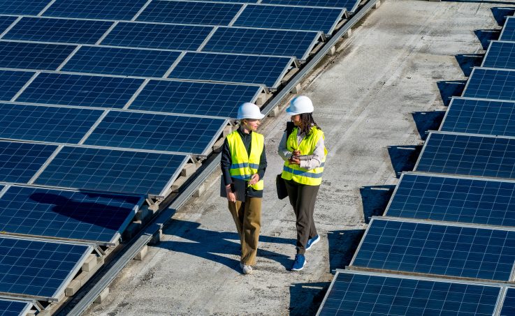 Two workers in safety vests and hard hats walk between rows of solar panels.
